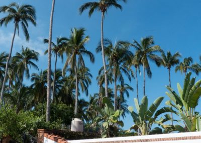 chacala-real-estate-1